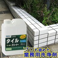 タイルクリーナー 1kg（ポリ容器入り）TS-101 ビアンコジャパン 玄関 タイル 掃除 ブラシ 業務用 外壁 ク…