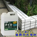 タイルクリーナー 4kg（ポリ容器入り）TS-101 ビアンコジャパン 玄関 タイル 掃除 ブラシ 業務用 外壁 クリーナー 床タイル 玄関掃除 タイル洗浄 タイル洗剤 サビ落とし タイル用洗剤 タイル磨き 洗剤 黒ずみ
