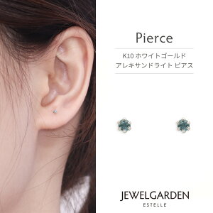 sAX fB[X ALThCg 6a K10 zCgS[h 10k 10 1 ꗱ y ESTELLE GXe[ z NX}X ޏ    v[g Mtg 20 30 40 50 60 W