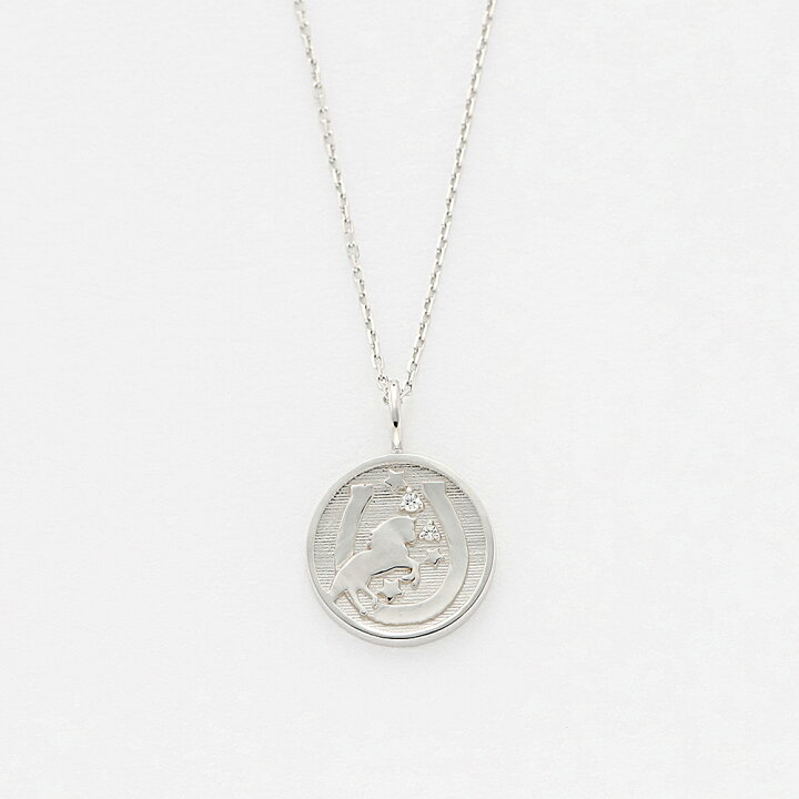 楽天市場 Web限定商品 ペアネックレス ネックレス メンズ ダイヤモンド シルバー ロジウムメッキ Bloom ブルーム ペア ジュエリー ブランド プレゼント 贈り物 ギフト ご褒美 代 30代 40代 50代 60代 Bloom Online Store 楽天市場店