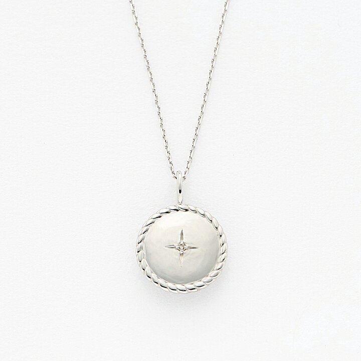 楽天市場 Web限定商品 ペアネックレス ネックレス メンズ ダイヤモンド シルバー ロジウムメッキ Bloom ブルーム ペア プレゼント 贈り物 ギフト ご褒美 代 30代 40代 50代 60代 ジュエリー ブランド Bloom Online Store 楽天市場店