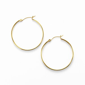 y BLOOM u[ z sAX t[vsAX fB[X XeX T[WJXeX 316L AM[Ή 0202-2200-0019 NX}X ޏ    v[g Mtg 20 30 40 50 60