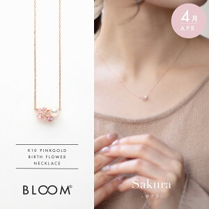 y11/25 0:00-23:59 N[|zlbNX fB[X _Ch TN 4a K10 sNS[h 10k 10  t[ y ESTELLE GXe[ z NX}X ޏ    v[g M