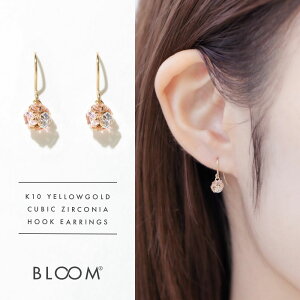 sAX fB[X L[rbNWRjA K10 CG[S[h 10k 10 y BLOOM u[ z v[g 蕨 Mtg 20 30 40 50 60 WG[