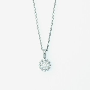 lbNX fB[X _Ch v`i ꗱ 1 y ESTELLE GXe[ z NX}X ޏ    v[g Mtg 20 30 40 50 60 WG[