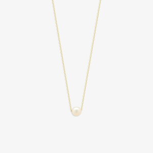 y WEB z lbNX fB[X p[ ^ K10 CG[S[h 10k 10 1 ꗱ y BLOOM u[ z v[g 蕨 Mtg 20 30 40 50 60 WG[