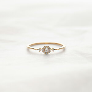 y WEB z O w fB[X p[ Wp[ Vo[ CG[S[hbL y ESTELLE GXe[ z NX}X ޏ    v[g Mtg 20 30 40 50 60 W