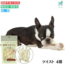 国産牛皮ガム ツイスト 4個入り 犬 おやつ ガム 無添加 デンタル 国産 牛皮 犬向けおやつ(デンタルケアガム) 【ダッドウェイ】 犬 おやつ ガム 国産 ペット 牛皮 チップス DADWAY 犬 おやつ ガム 無添加 デンタル