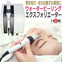 楽天市場】タカラベルモント エステの通販