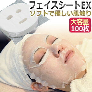 GXeƖp tFCXV[gEX 100 / tFCVV[g tFCX}XN tFCV}XN   /T001