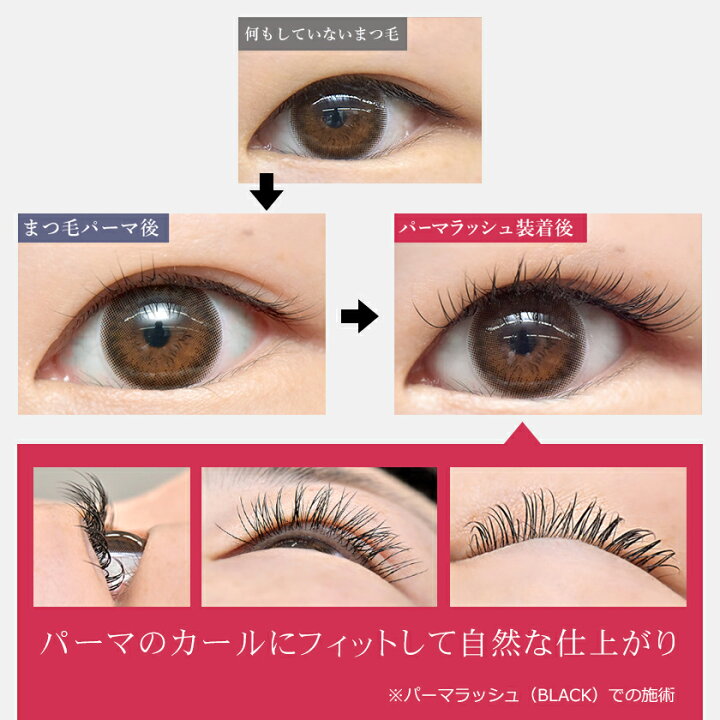 楽天市場】まつげパーマ 専用 エクステ パーマラッシュ Perm Lash Ash 