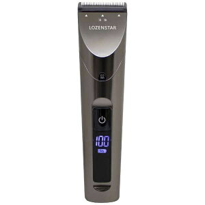 ���[���X�^�[ �f�W�^���[�d�𗬃o���J�� PR-969 / LOZENSTAR / ���[���X�^�[ / �o���J�� / �w�A�J�b�^�[