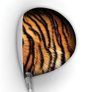 y[֑z GOLFSKIN StXL tXLF1244 / hCo[pOtBbNtB@St wbh V[