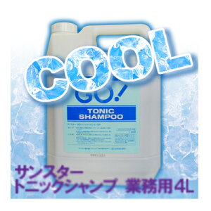 TX^[ GO gjbNVv[ Ɩp 4L/ N[Vv[ yRCPzy10P17Apr01z