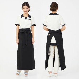 s@Lin de Lin f XyVXgGv J[FN[AsNAubN GXep GXejtH[ Gv