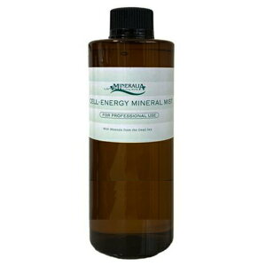 ~lA ZiW[~l~Xg@500ml Ɩp