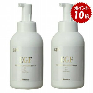 y2{Zbgzf} GFY_tH[ 500mL×2{ Ɩp Y_  tH[ GCWOPA ێ EGFl C[W[Gt OXt@N^[l ql demarrer Ki 30 40