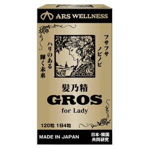 T GROS for Lady 120 J~mZC OX tH[ fB[ p n RV e卑؍ƋJ HGP R 4听z 40 50 60 70 80 ARS AXEGlX Ki 