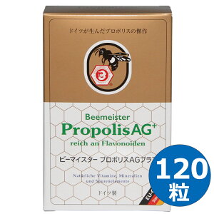 r[}CX^[ v|XAGvX 120 A[K[h v|X j[A eAbv hCc zi xi[ NHi Tv Tvg NTv t{mC