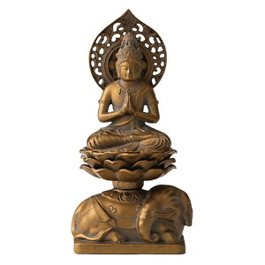 \x̂{ 15cm̕ F Ô N܂̂{ x \x  IuWF  ̓ ̓ hV̓ a v[g Mtg j J^ObY 