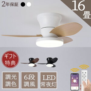 y5Nۏ؁zV[Ot@Cg LED  IV V[OCg 6u 8u 4u F ^ Â 10u Ɩ VƖ t Rt H̉]x @ ԐڏƖ q