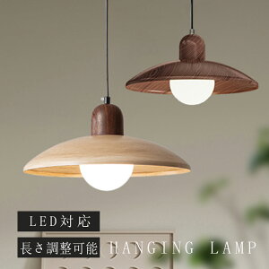 ペンダントライト おしゃれ ガラス 1灯 吊下げ灯 照明 北欧 LED電球対応 ガラス造形 キッチン 照明器具 トイレ 階段 引掛けシーリング ダクトレール モダン かわいい ナチュラル リビング ダ
