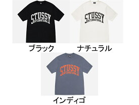 ステューシー STUSSY メンズ トップス Tシャツ【INTERNATIONAL PIG.DYED TEE】【インターナショナル ピグメント】