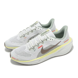 NIKE AIR ZOOM PEGASUS 41 GS iCL GA Y[ yKTX 41 GS 25-05-S#70