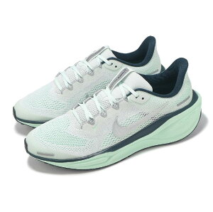 NIKE AIR ZOOM PEGASUS 41 GS iCL GA Y[ yKTX 41 GS 25-10-S#70