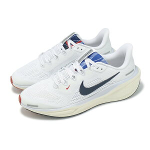 NIKE AIR ZOOM PEGASUS 41 GS iCL GA Y[ yKTX 41 GS 25-11-S#70