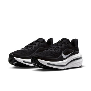 �yNIKE�z�i�C�L WMNS AIR WINFLO 12 HV9273-002