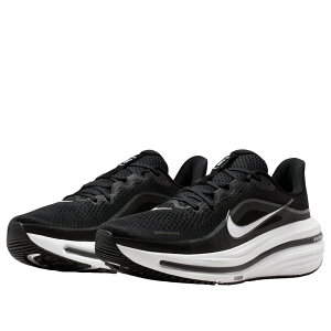 �y�i�C�L(NIKE)�zAIR WINFLO 12 HV9272-002