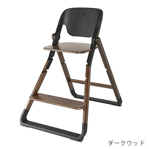 �G���S�x�r�[ �G�{���u �`�F�A ErgoBaby EVOLVE ( �q�� �L�b�Y ��l 36���� 3�� �n�C�`�F�A �_�C�j���O�`�F�A �֎q �o�Y�j�� �M�t�g �v���[���g ) �y���{���K�i2�N�ۏ؁z�ySG�F��z�y���������z�y��