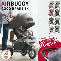 楽天市場】エアバギーココ ブレーキモデルの通販