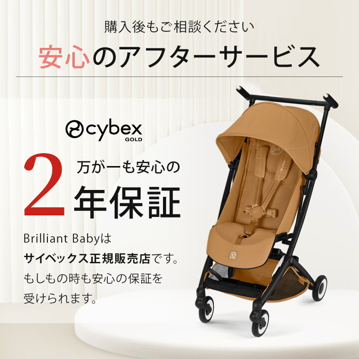楽天市場】【2026最新モデル】 サイベックス リベル 2026 バンパーバー 
