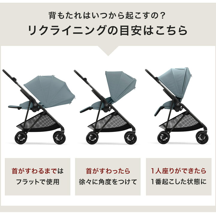 楽天市場】【25%OFF】 サイベックス メリオカーボン 2024 (1ヶ月 