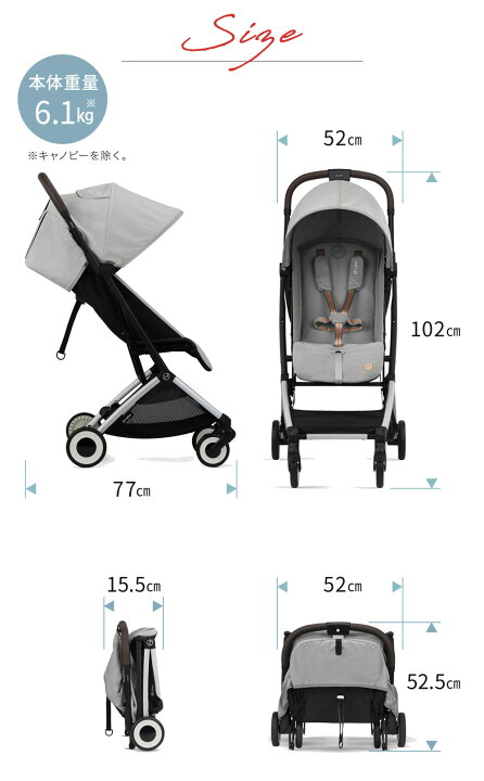 楽天市場】【期間限定バンパーバープレゼント】 サイベックス  