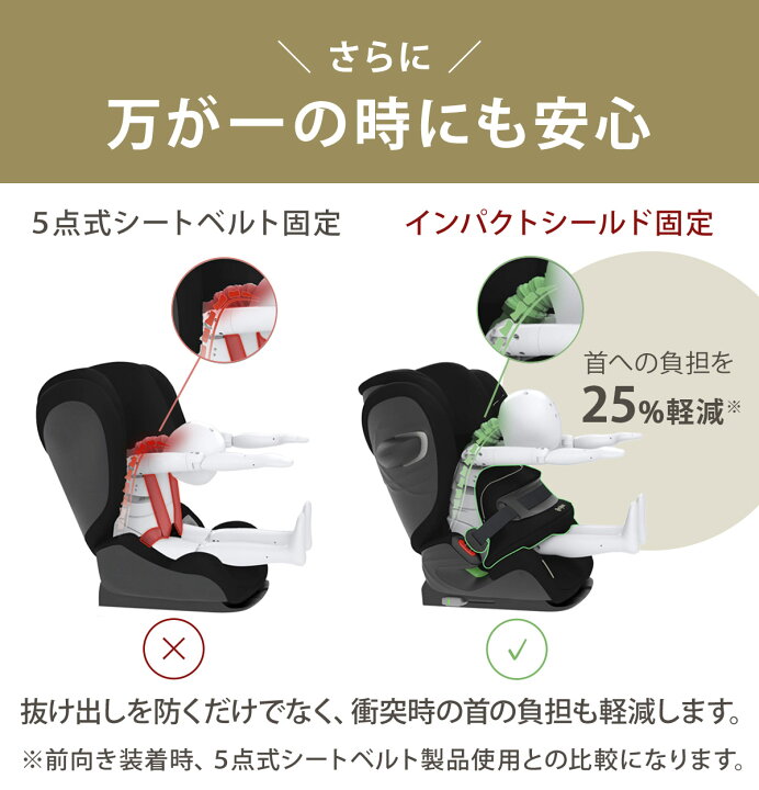 楽天市場】2026 最新 【正規販売店】 サイベックス パラスG3 
