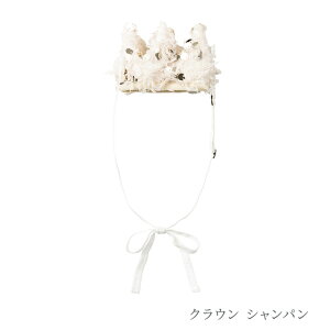 }[}[ MARLMARL NE / Gi ( xr[ Ԃ ̎q j̎q  Ƃ񂪂Xq wAoh Pl ql j[{[tHg n[to[Xf[ p[eB[ a LO j