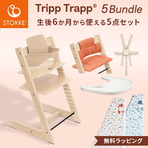 yK̔Xz XgbP gbvgbv + xr[Zbg + n[lX + gC + NbV y5_Zbgz( q 6 3 xr[ k ؐ r[` _CjO H nC`FA ֎q STO