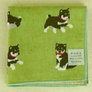 ͂񂩂yĂzCG[aZ~EHbV΂ʁ@O[@^InJ`@_l