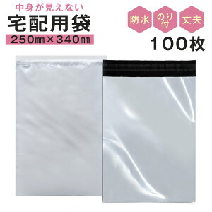 zrj[ A4 100 250mm×[340mm{t^45mm M Se[vt y h Ȃ gȂ  pi  t}iߗ G  DM Ȃǂ̔)NlRDM