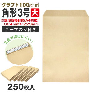  p3 傫 ގKi 19 e[vt Ntg 250 p`3 A4  ̂t 100g ^b` Xbgt  