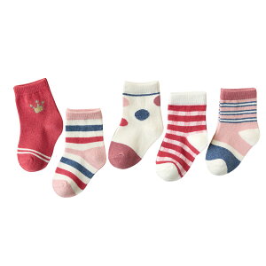 q C Iׂ 5 Zbg oGeB Xj[J[\bNX LbY xr[ \bNX j̎q ̎q w ct ۈ牀 ʊw ʉ v[g 