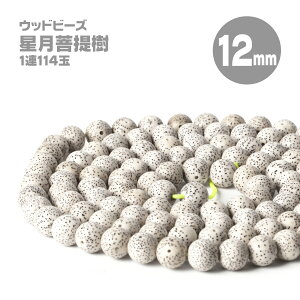   Ebhr[Y  12mm 114 f uXbg nhCh p jp  ss2506 ss2509c