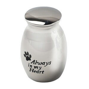 ybg  ⍜ JvZ ~j  Iׂ   ybgp ~jTCY Vo[ XeX3 