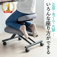 バランスチェア 大人 子供 角度 高さ調整 正座 あぐら 片膝 足置き 背筋 プロポーション エルゴノミクス …