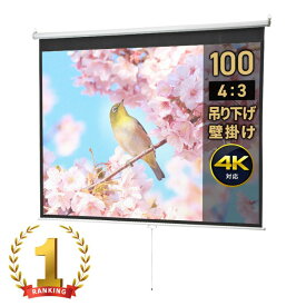 【最大3000円OFFクーポン配布中】【楽天1位受賞】プロジェクタースクリーン 吊り下げ 100インチ 4：3 天吊 壁固定 プルダウン式 　会議室 プレゼン 学校 ホームシアター 手動 EEX-PST1-100