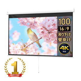 【最大3000円OFFクーポン配布中】プロジェクタースクリーン 100インチ 16：9 吊り下げ 天井 壁掛け ホームシアター 巻き上げ ロール式 防炎 おすすめ EEX-PST1-100HD