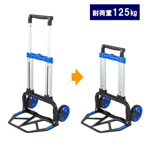 yő3000~OFFN[|zzzy󂠂 Viz܂肽ݎL[ A~ 2 ω׏d125kg CART-FA10BK TTvC ɃLYAꂠ